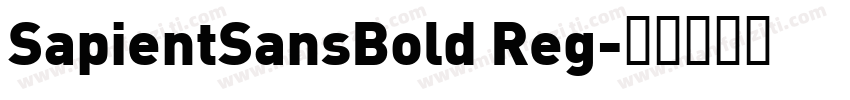 SapientSansBold Reg字体转换